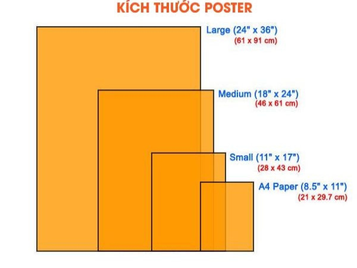 Kích thước cơ bản khi in poster 