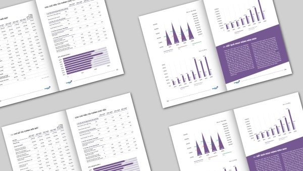 Mẫu 4 báo cáo thường niên