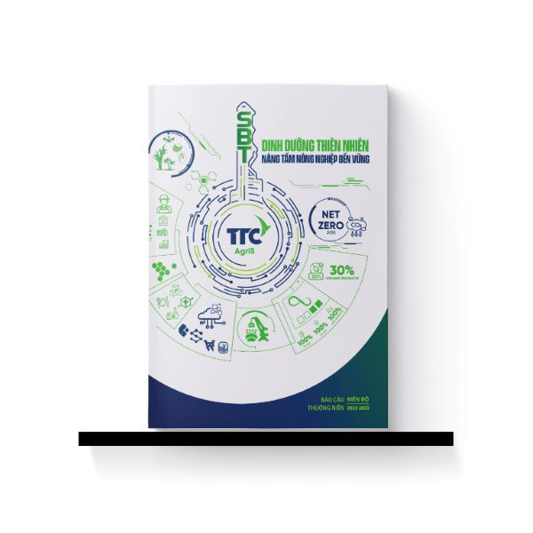 Mẫu 3 báo cáo thường niên