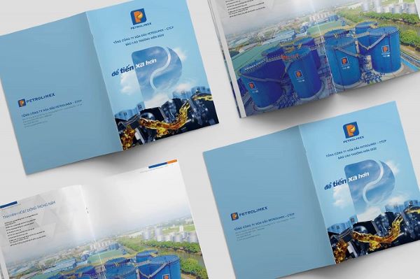 Mẫu 11 báo cáo thường niên