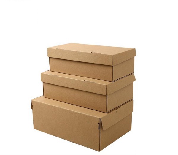 Kích thước hộp đựng giày