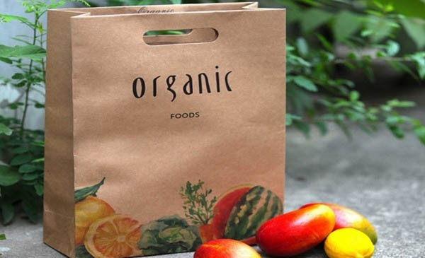 Mẫu in túi giấy kraft đựng hoa quả quai đục lỗ