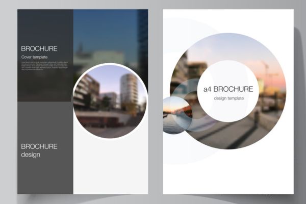 Sắp xếp bố cục tờ rơi hợp lý và cân đối để người đọc không bị rối mắt