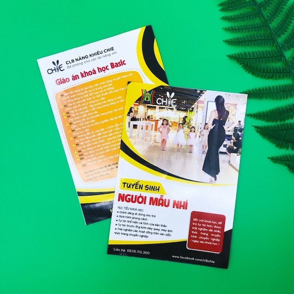 Tờ rơi sản phẩm thu hút khách hàng