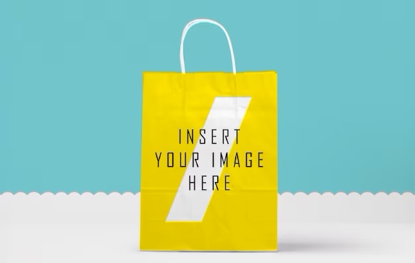 Mẫu túi giấy đựng phụ kiện thời trang