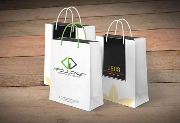 Túi giấy trắng kraft quai dây in tên và logo thương hiệu