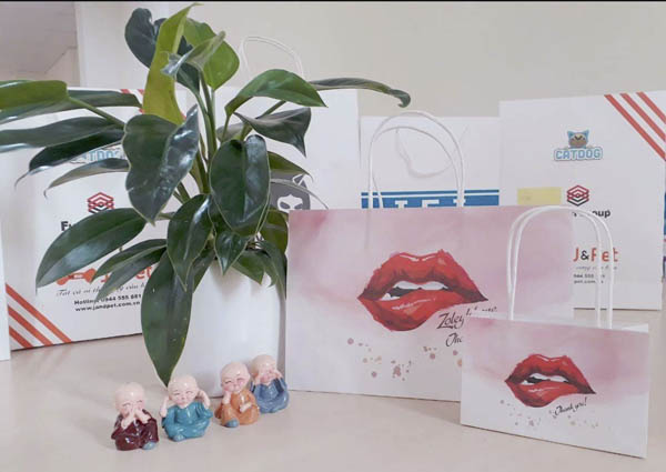 Túi giấy để mỹ phẩm với thiết kế cho dòng sản phẩm son môi