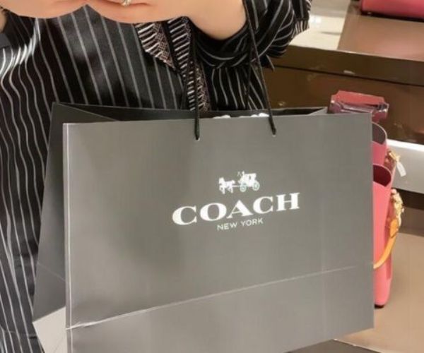 Mẫu túi giấy Coach xám