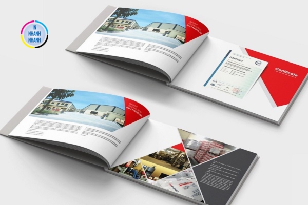 Mẫu catalog giới thiệu sản phẩm mới nhất