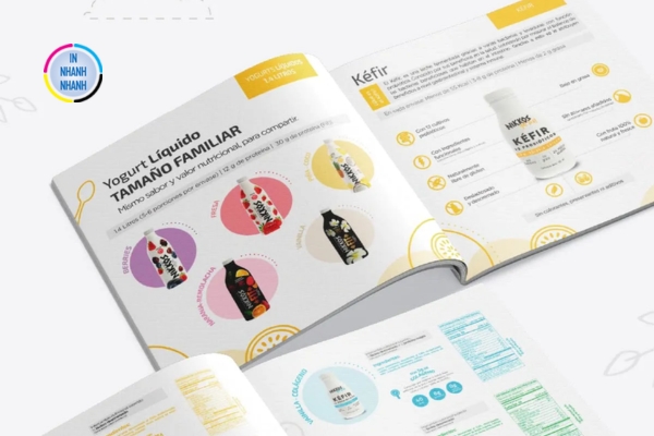 Mẫu catalogue những sản phẩm