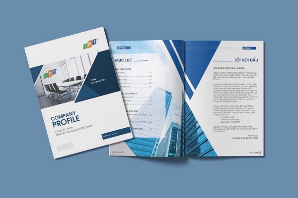 Mẫu catalogue giới thiệu công ty FPT
