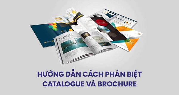 Sự khác nhau giữa Brochure và Catalogue là gì?