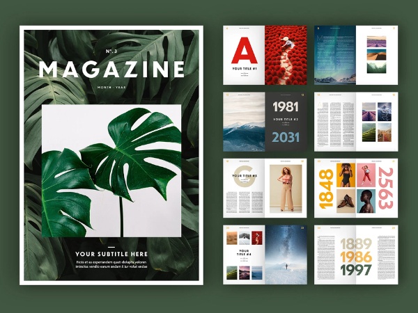 Mẫu in tạp chí bắt mắt