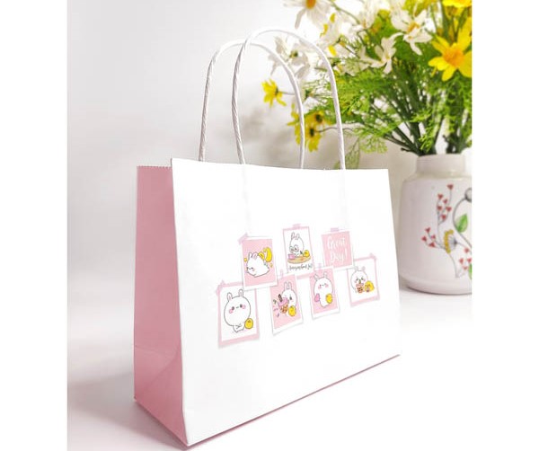 Túi giấy kraft màu trắng hồng in sticker