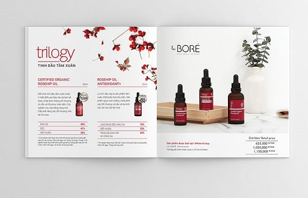 Mẫu catalogue mỹ phẩm theo tông màu sản phẩm