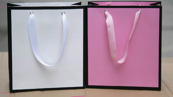 Thiết kế túi giấy mỹ phẩm có viền đen đơn giản với nhiều tone màu