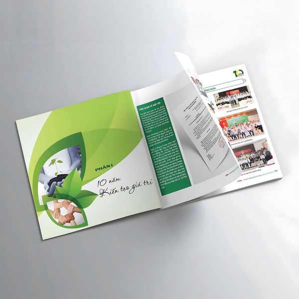 In catalogue bìa cứng màu sắc đơn giản