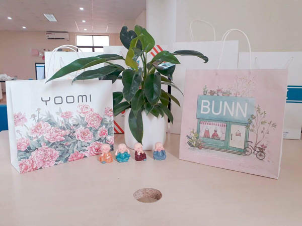 Mẫu túi giấy đựng quần áo nữ tính với họa tiết in theo yêu cầu