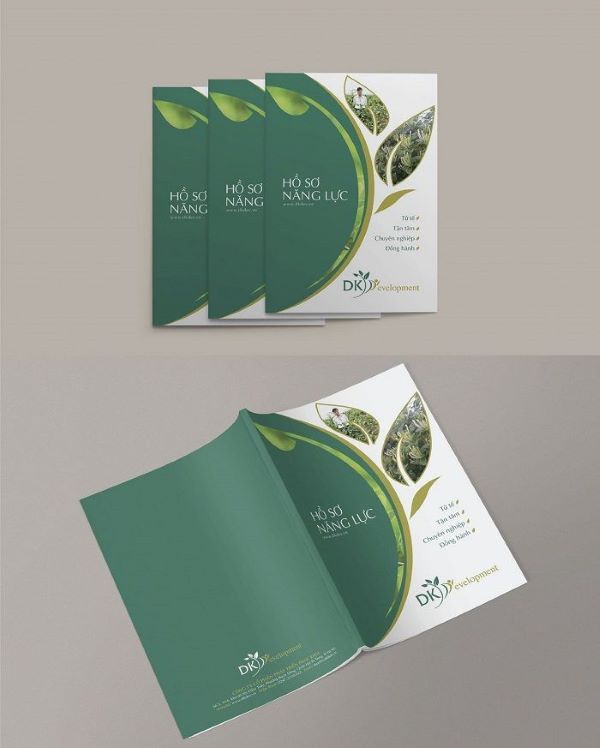 Mẫu hồ sơ năng lực phù hợp với nhiều nghành khác nhau