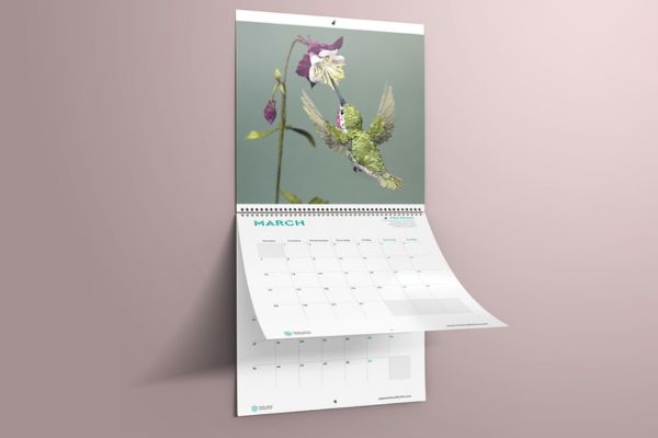 Phân loại thiết kế: Lịch treo tường