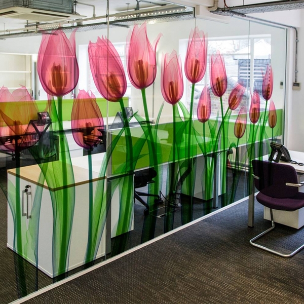 Màu sắc rõ nét và thiết kế đẹp