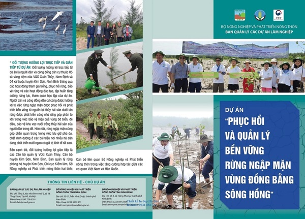 Mẫu tờ rơi phục hồi và quản lý bền vững rừng ngập mặn vùng Đồng Bằng Sông Cửu Long